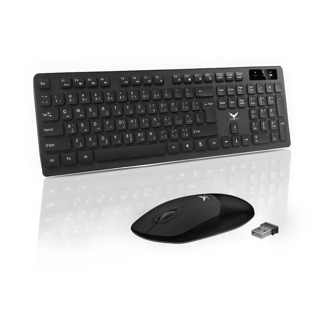 wireless kb and mouse BMK101W.webp