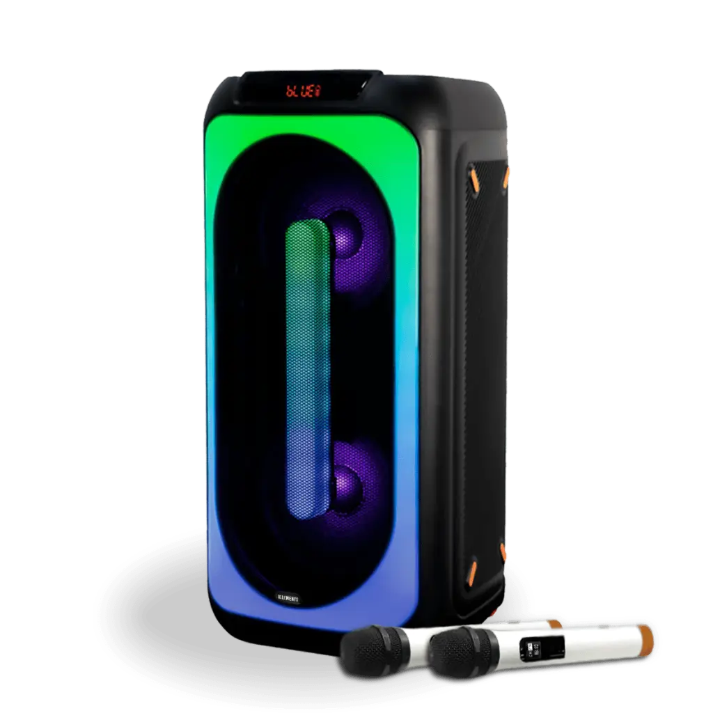 Karaoke speaker Double 8"  -EK181